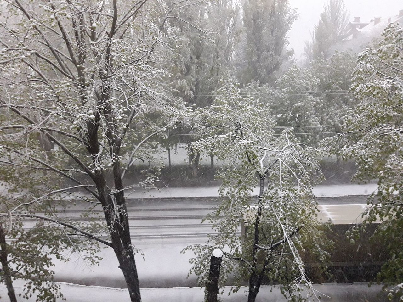 Ninsoare, vânt puternic și viscol în aprilie ca la mijloc de ianuarie! Scoatem hainele de iarnă