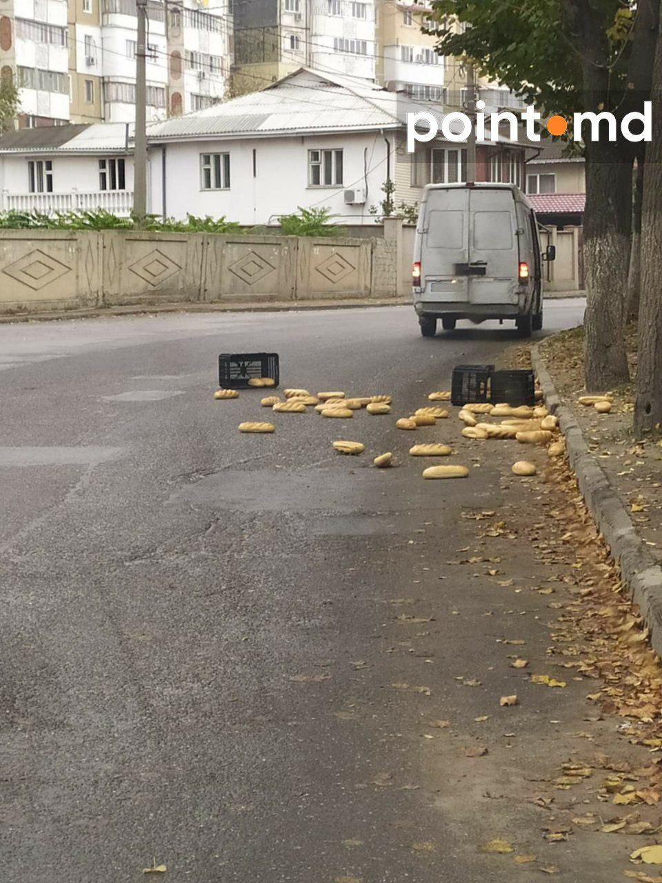 Десятки батонов хлеба обнаружили посреди дороги в Бельцах