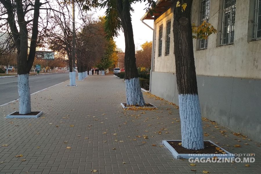 С раннего утра в Комрате ограничено передвижение из-за визита Эрдогана