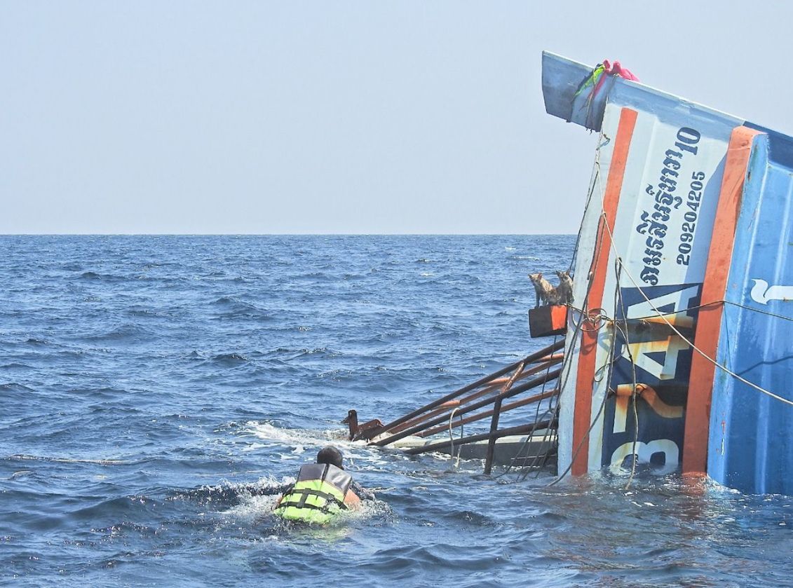 В Таиланде моряки ВМС спасли четырех котят с тонущего судна