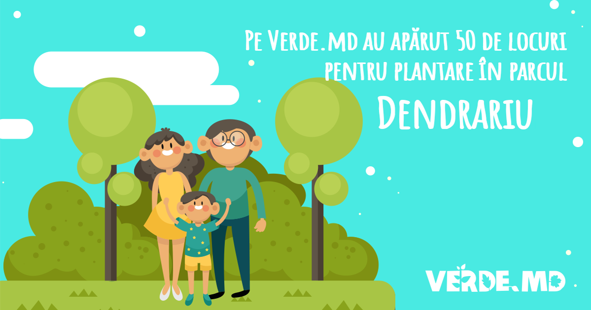 Verde.md: 50 de copaci vor fi plantați la primăvară în parcul Dendrariu