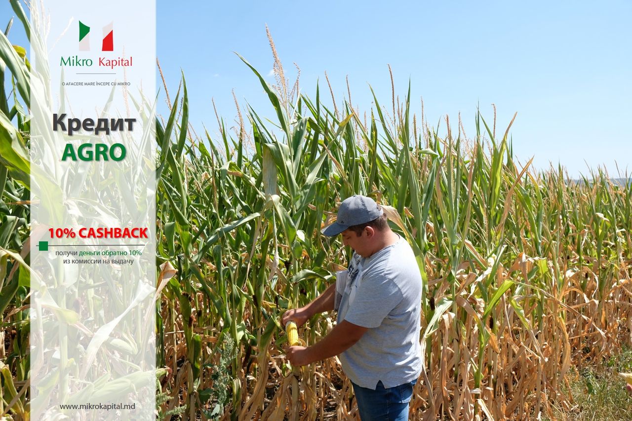 Mikro Kapital: Возьми Кредит Agro и получи cashback 10%