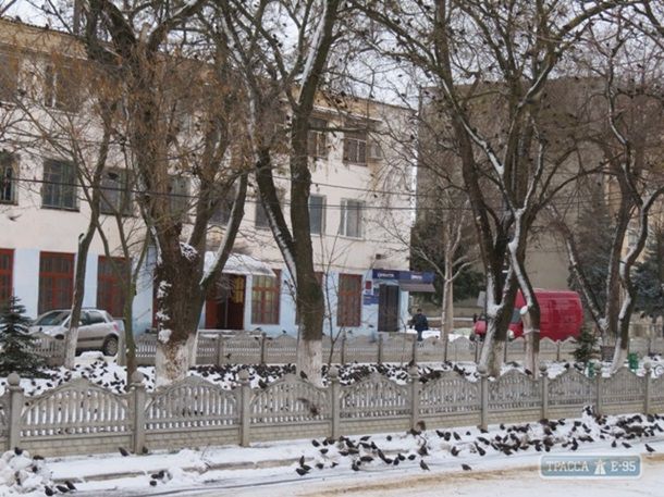 В Одесской области аномальное нашествие скворцов