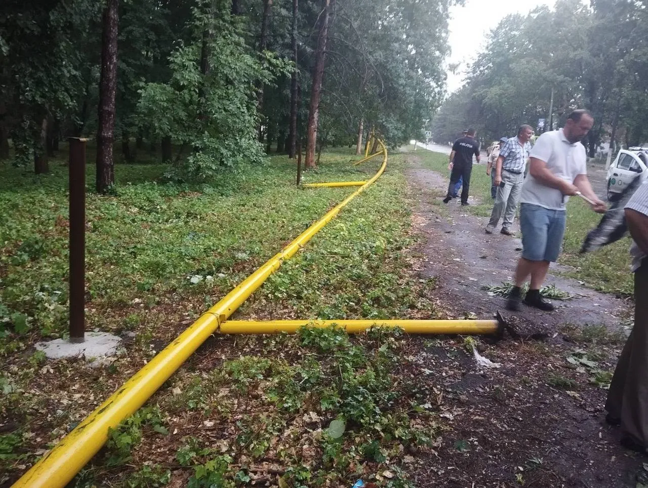 Из-за непогоды в Глодянском районе повалены деревья, повреждены газовые трубы, провода