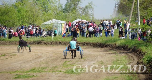Традиционные конные скачки прошли на ипподроме в Чадыр-Лунге