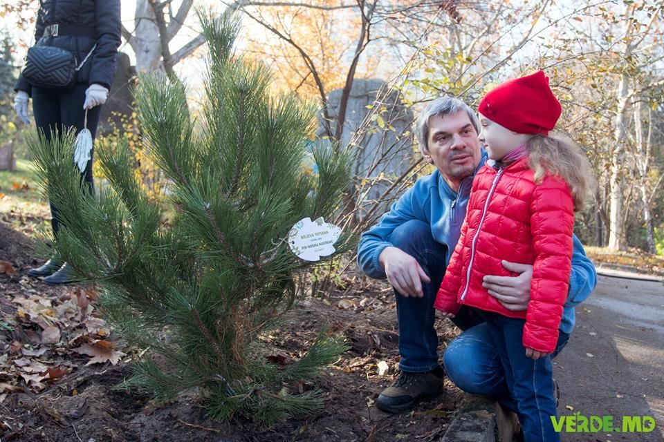 Verde.md: Totalurile primului sezon de plantare