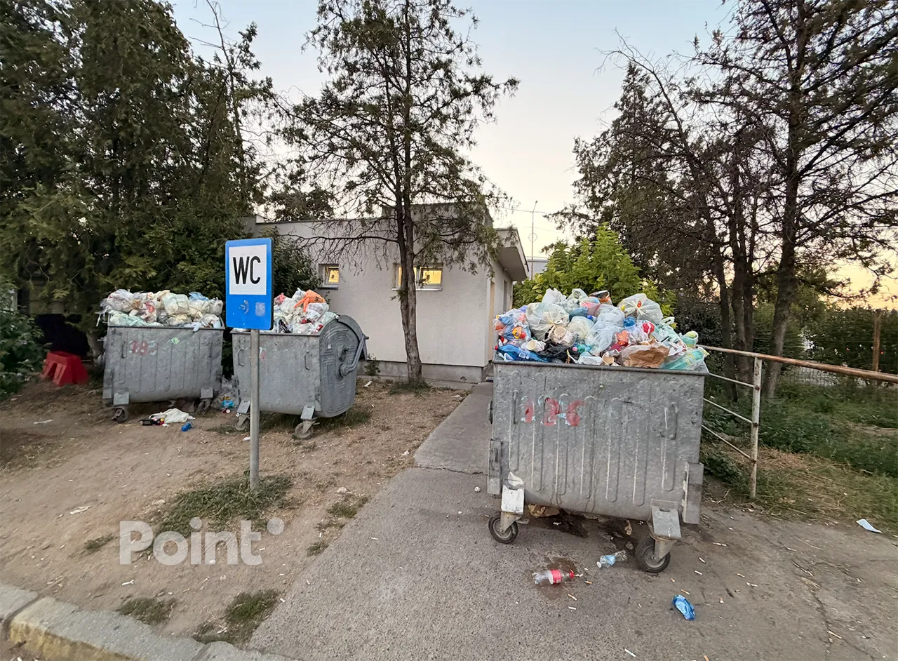 Граждане Молдовы жалуются на антисанитарию на румынском КПП