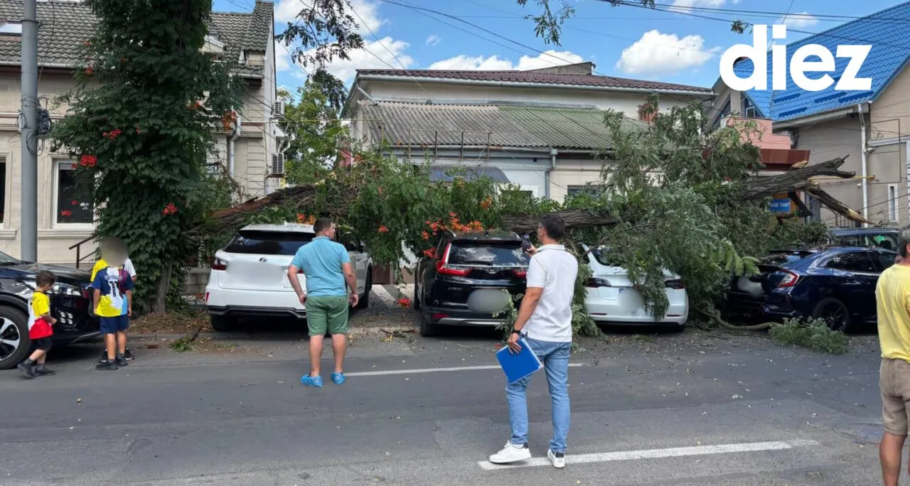 Un copac căzut a avariat cel puțin patru mașini în Capitală