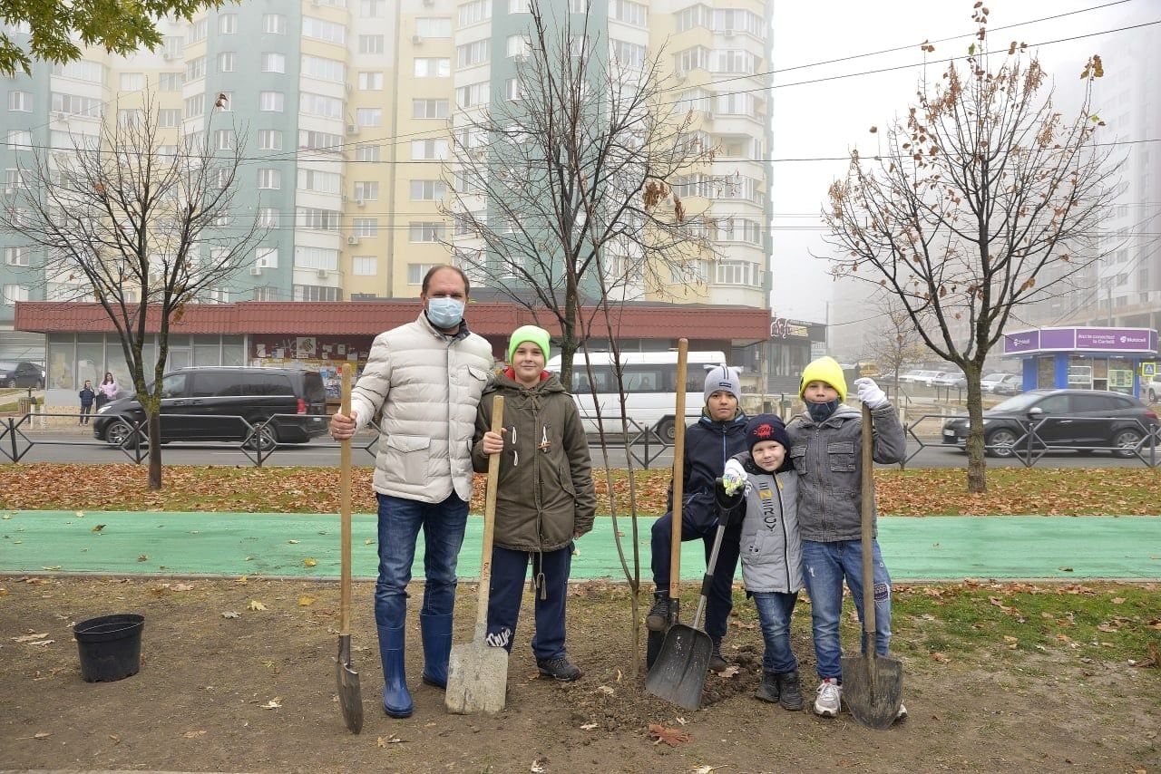 На Чеканах прошла новая акция по посадке деревьев