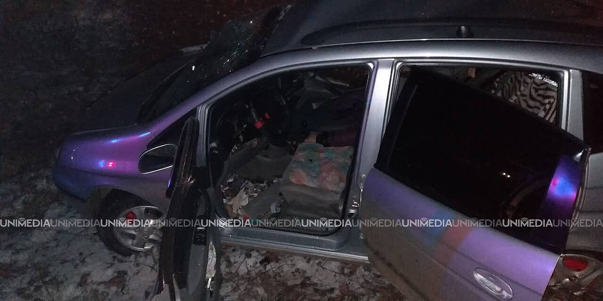 В Штефан-Водэ при столкновении автомобиля с деревом погибла пассажирка