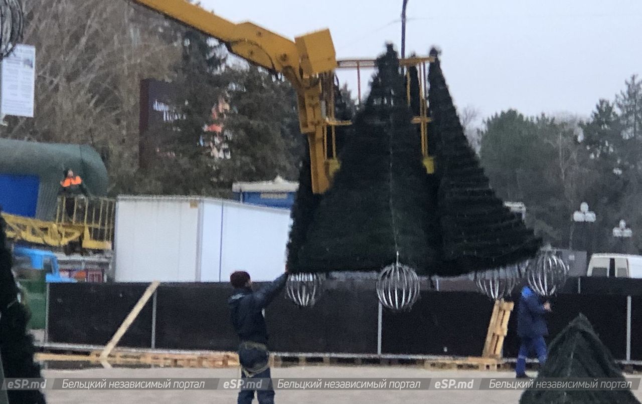 В Бельцах установили новогоднюю ёлку
