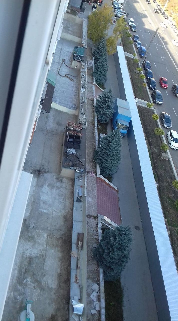 В Кишиневе на Московском проспекте спилили роскошные ели