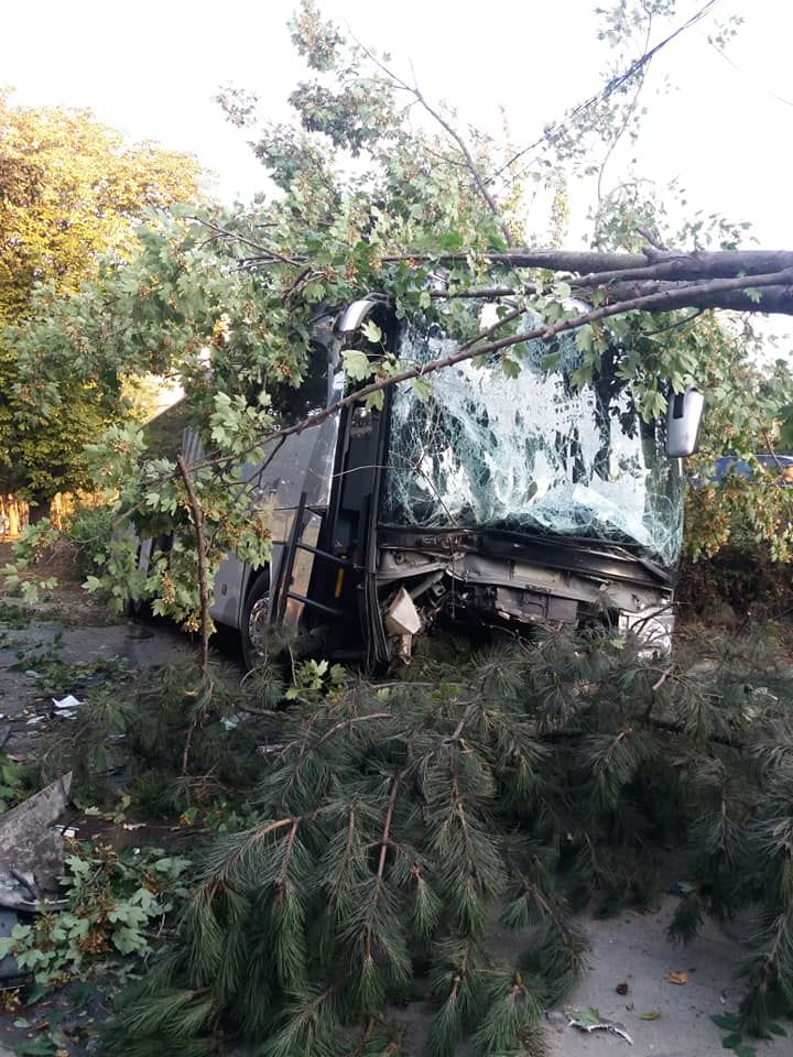 В Румынии автобус с гражданами Молдовы врезался в дерево: есть пострадавшие