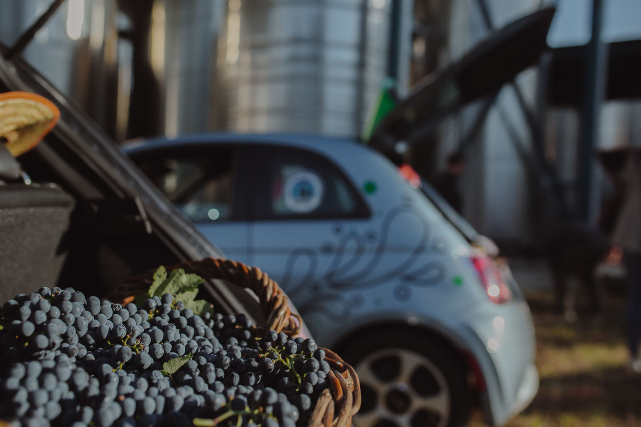 Apriori Wine: Будущее наступит завтра, будь экорациональным сегодня ®