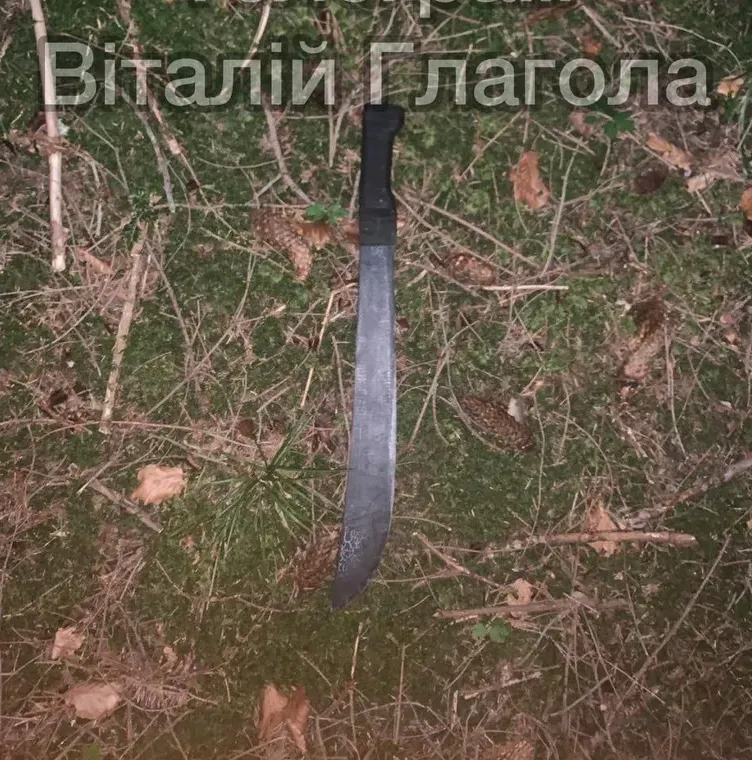 На границе с Румынией украинцы напали на пограничника: он открыл огонь