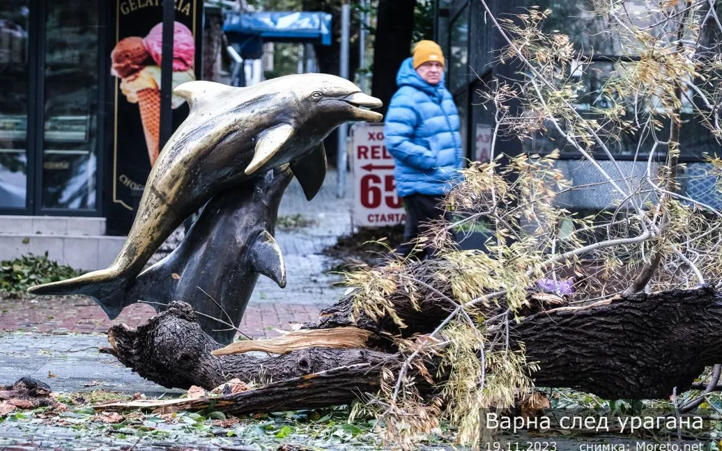 Из-за шторма в Болгарии два человека погибли, десятки тысяч остались без света