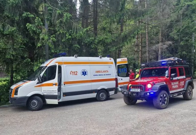 В Румынии медведь убил девушку на лесной тропе и нападал на спасателей, его застрелили