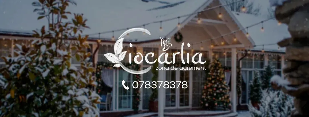 Корпоративная вечеринка в комплексе Ciocârlia - для незабываемых зимних праздников