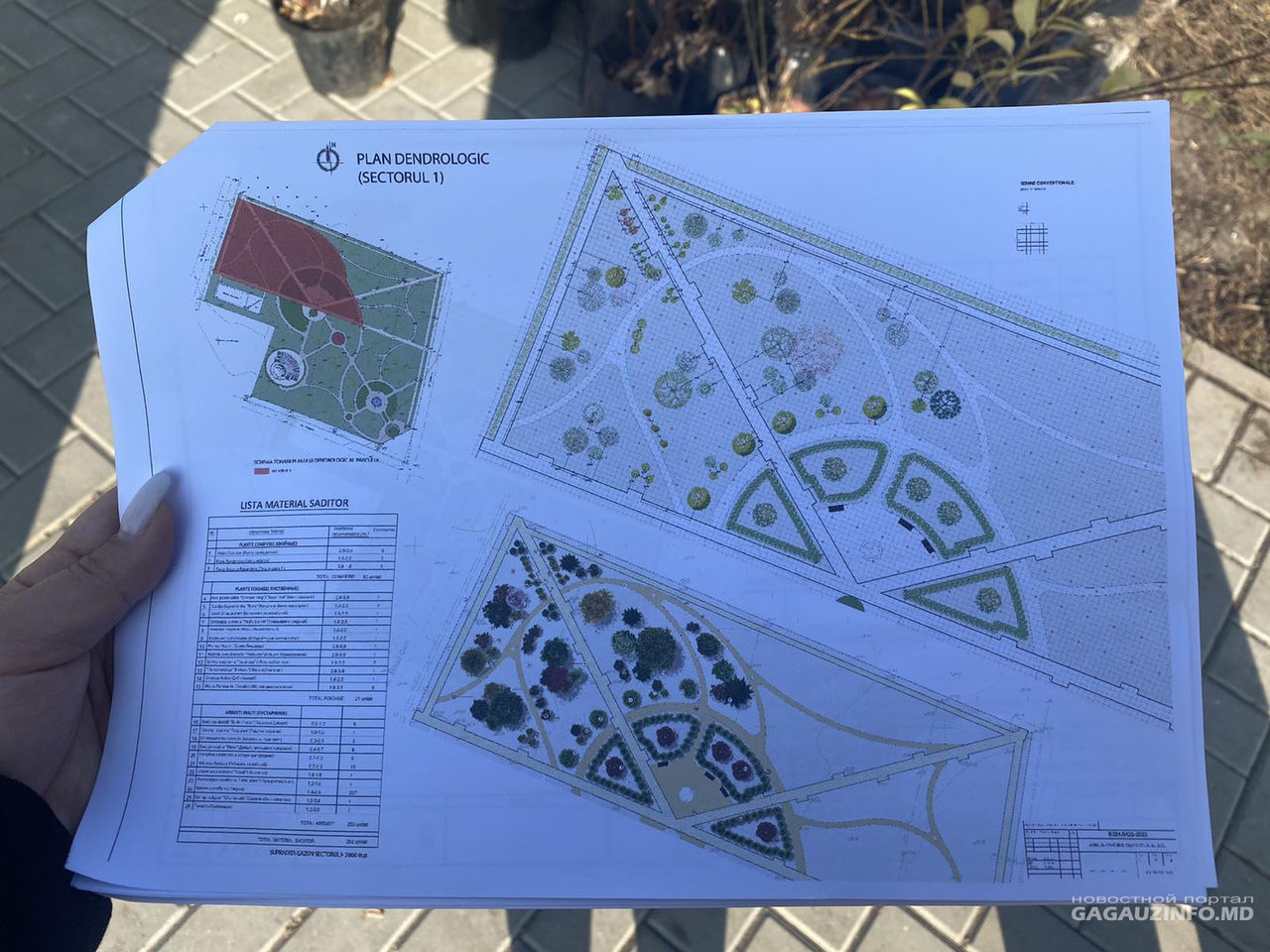 В Конгазе на месте пустыря появится «Парк мечты»