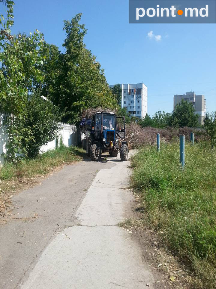На стадион жилого городка Аэропорта свозят ветки