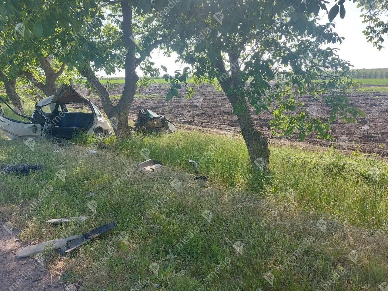 В ДТП в Ниспоренском районе погиб сотрудник Пограничной полиции РМ