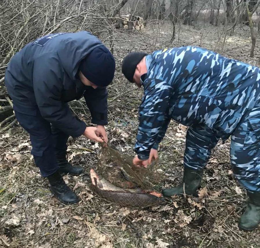 Рыбаков-нарушителей с 9 кг рыбы поймали в селе Паланка