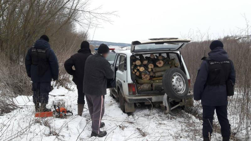 Doi cetățeni moldoveni, surprinși în timp ce tăiau ilegal arbori la frontieră