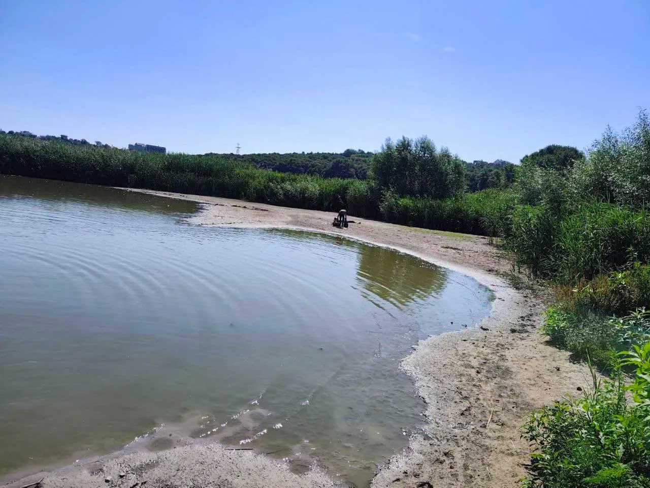 Воду в озере парка «Валя Морилор» очищают от водорослей