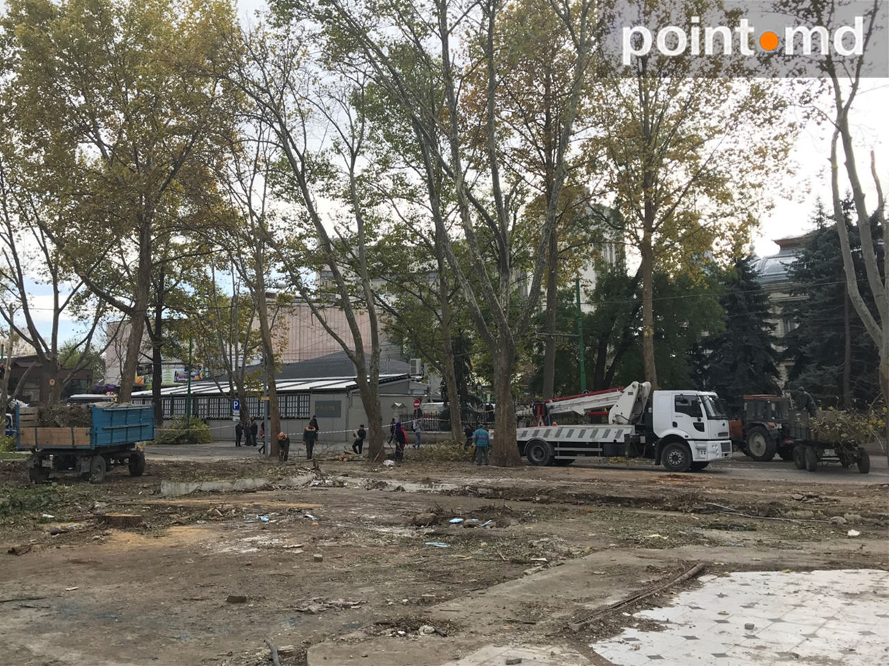 O porțiune a străzi 31 August, împânzită de crengi tăiate