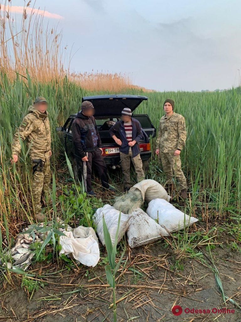 Молдавского рыбака поймали в Одесской области с уловом на 65 тысяч гривен