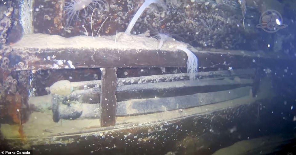 Морские археологи исследовали затонувшее 170 лет назад судно