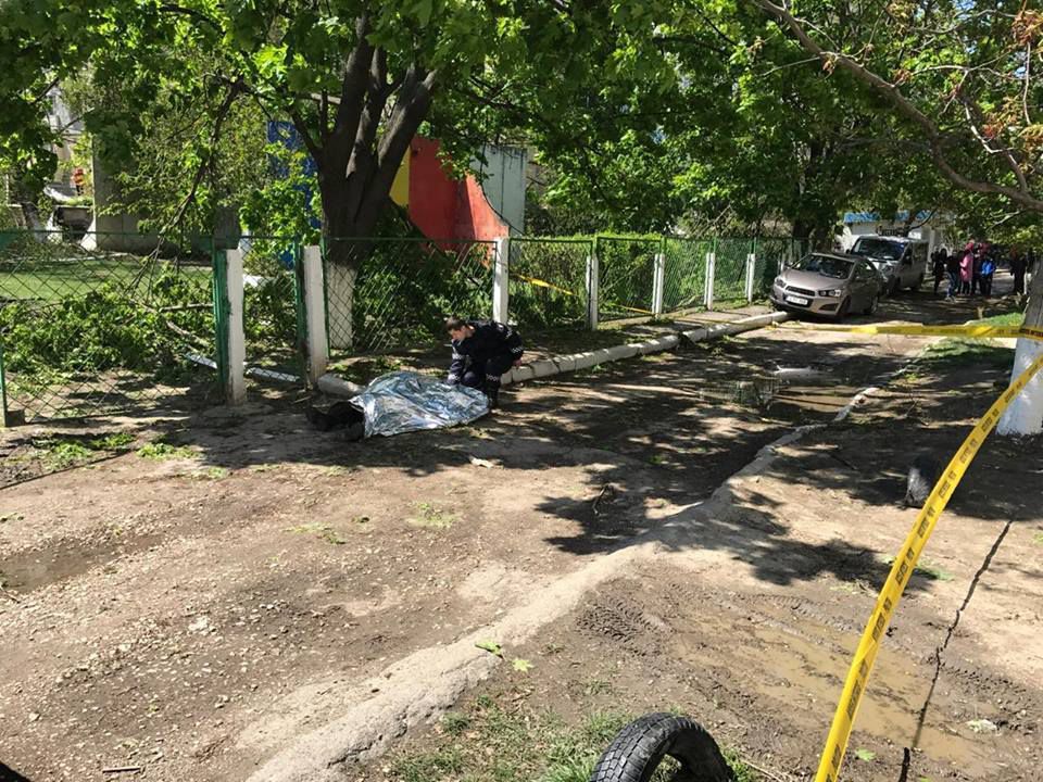 Детали гибели сотрудника школы: мужчина пытался спилить надломленное дерево