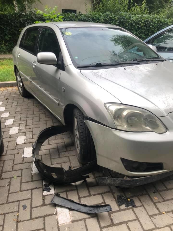 Нападение на автомобиль на Ботанике: кишиневцы спорят - люди или собаки