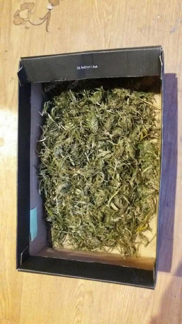 Житель Сорок попал в изолятор после обыска, проведенного местной полицией