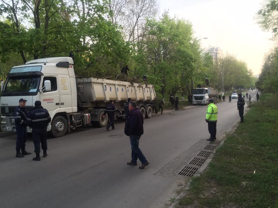 Mii de persoane evacuează crengile rupte. Chișinăuenii, îndemnați să folosească transportul public