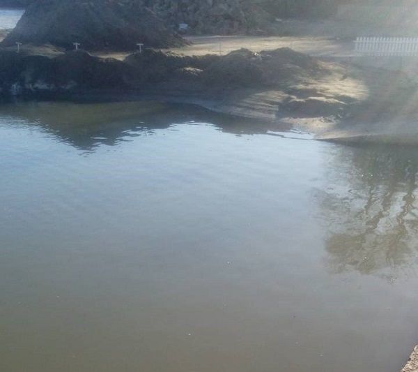 Под Одессой массовый мор рыбы