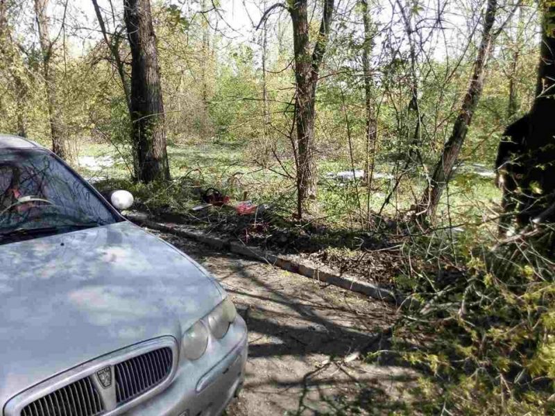 Profitorii stihiei. Munteanu: Defrișează arbori sănătoși pentru a-și face interesele