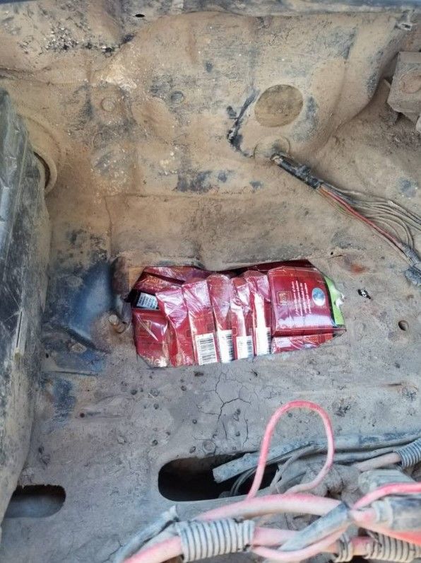 Собака по кличке Неро помогла таможенникам выявить партию контрабандных сигарет