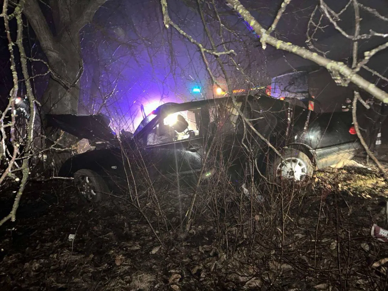 В Рышканах Mercedes на скорости влетел в дерево: два человека погибли