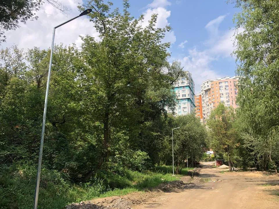 Продолжается обустройство родника и прилегающей территории в парке «Долина Роз»