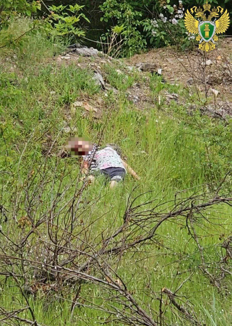 O admiratoare a „maniacului din Bitsa”, reținută sub suspiciunea de comitere a unei crime brutale