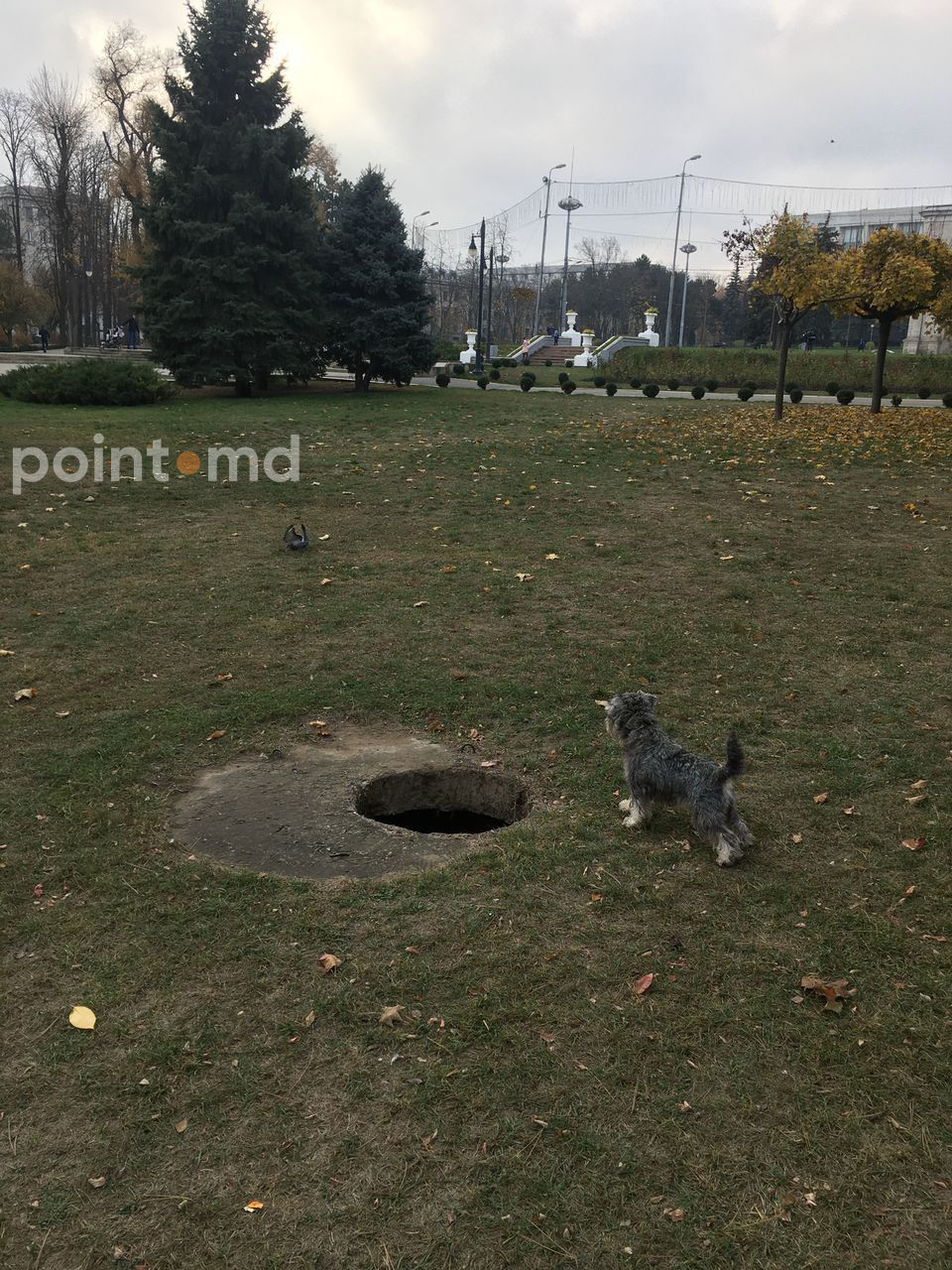 В центральном парке несколько месяцев открыты канализационные люки