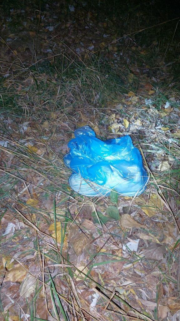 Граждан Молдовы и подданного Ирака задержали за организацию нелегальной миграции