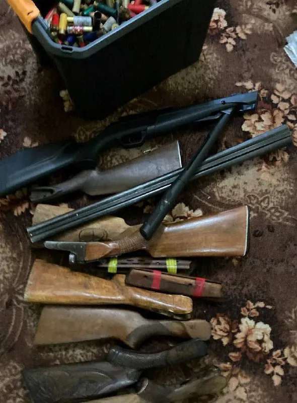 В Ниспоренах арестован мужчина, устроивший дома оружейный склад
