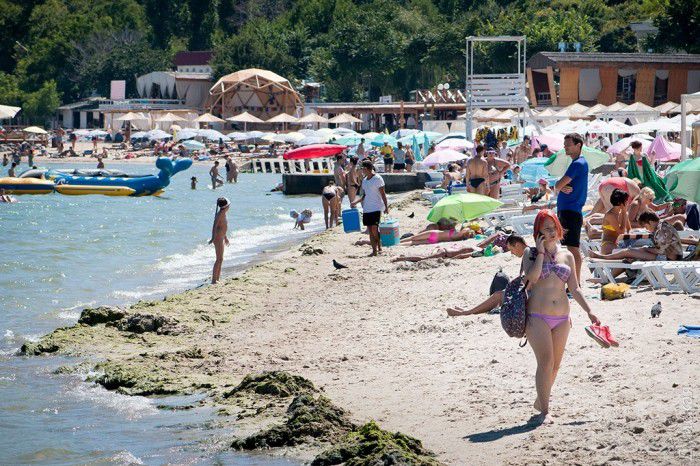 На пляжах Одессы грязь и мертвые чайки
