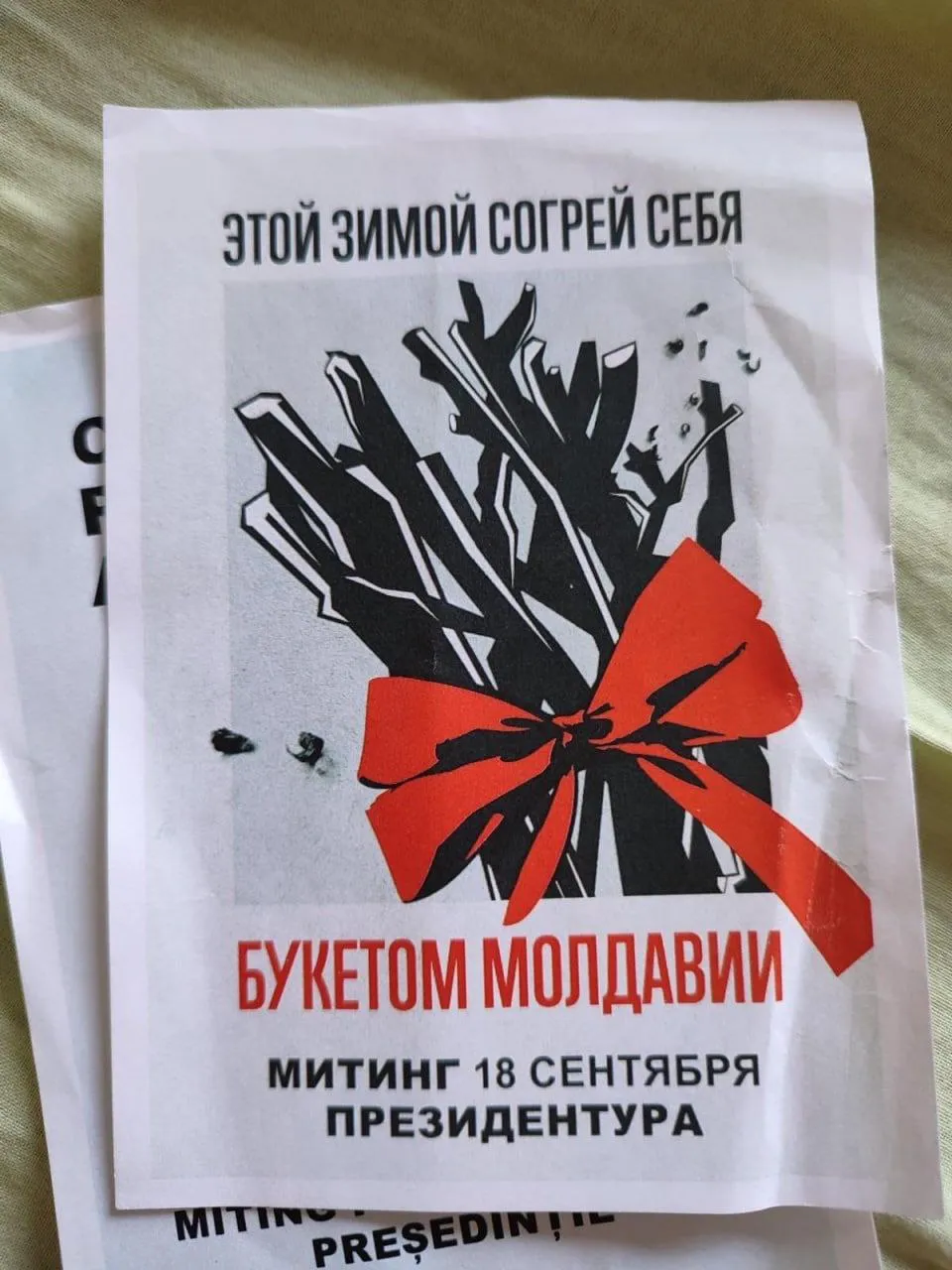 Алайба о листовках c призывом о протесте: Шуточки с советско-российским подтекстом