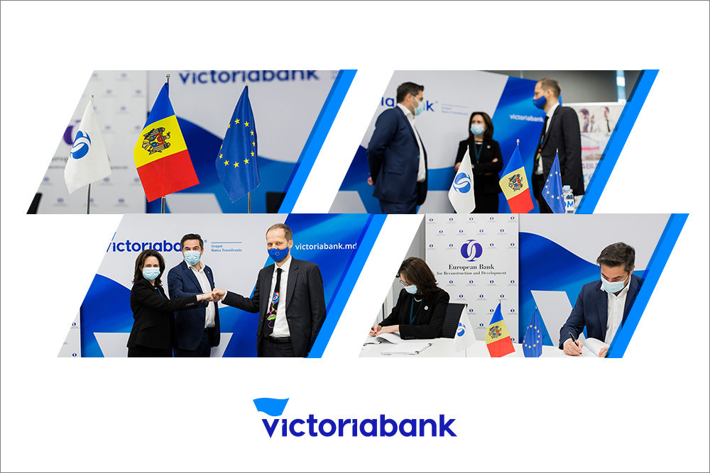 Victoriabank md. Молдова Викториабанк. Victoriabank Комрат. Victoriabank Business. Victoriabank Starcard.