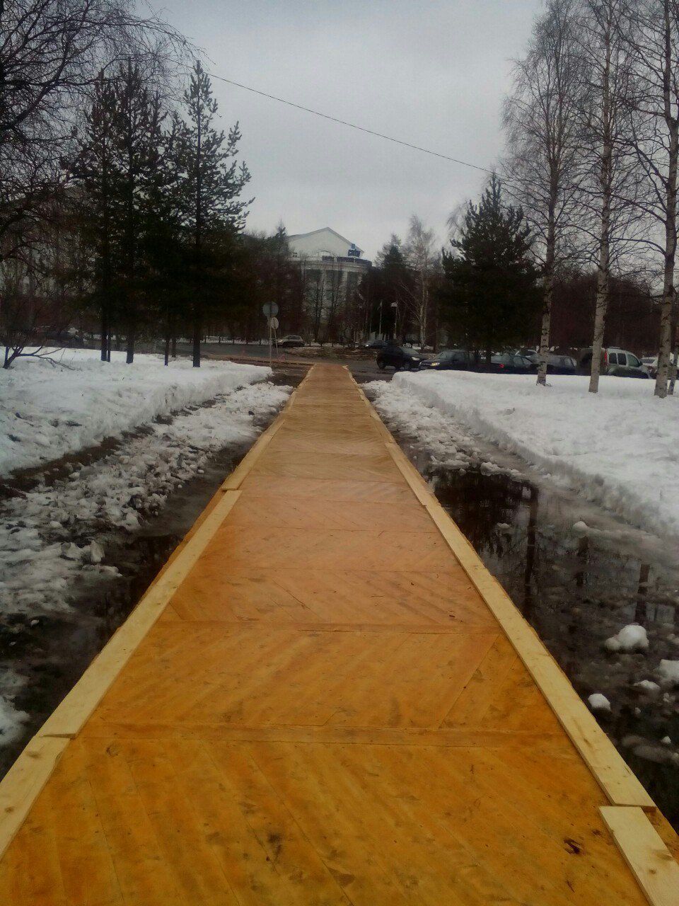 Архангельские чиновники заложили тротуар паркетом