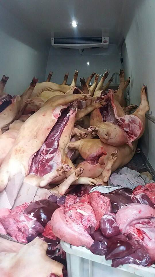 Inspectorii de patrulare au descoperit două tone de carne fără acte de provenienţă