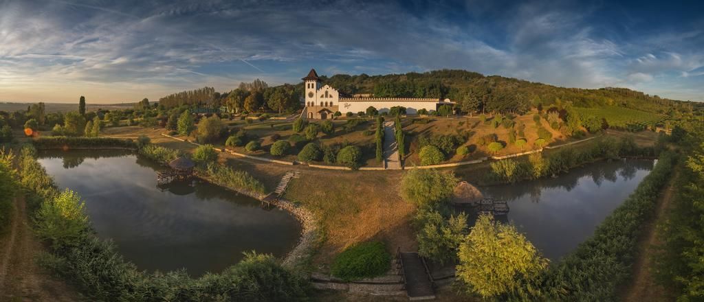 Amdaris – партнер Purcari Wineries по цифровой трансформации